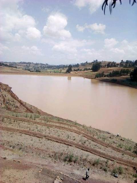 dessalegnmanaye's tweet photo. በደቡብ ወሎ ዞን አማራ ሳይንት ወረዳ የአርሶ አደሩን ተጠቃሚነት ለማሳደግ እንዲቻል የተሰራው አጓት ውኃ የአፈር ግድብ በደለል እንዳይሞላ እየተከናወነ ያለ የአፈርና ውኃ ጥበቃ ሥራ በከፊል
#Ethiopia
#SouthWollo
#SoilConservation https://t.co/tAk5EdD4C6