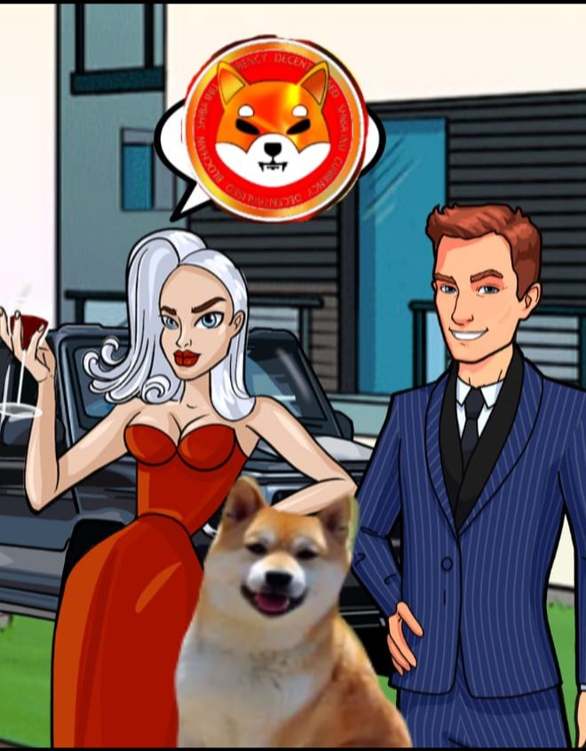 CerveraYhon's tweet photo. Shiba inu te espero con paciencia https://t.co/8MonU1VFDs