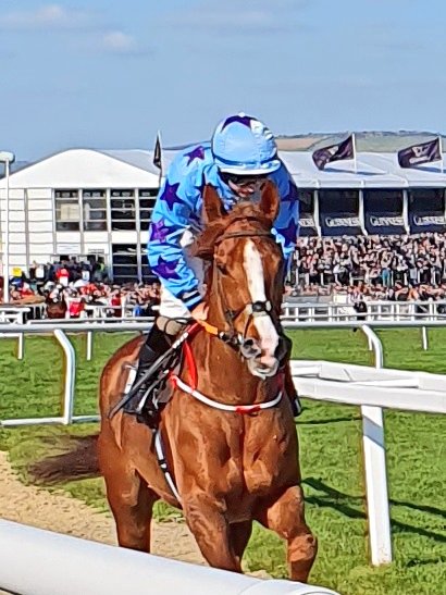 Bardenstown Lad on way to the Albert Bartlett start @CheltenhamRaces #JohnMcConnel @Sean_Bowen_