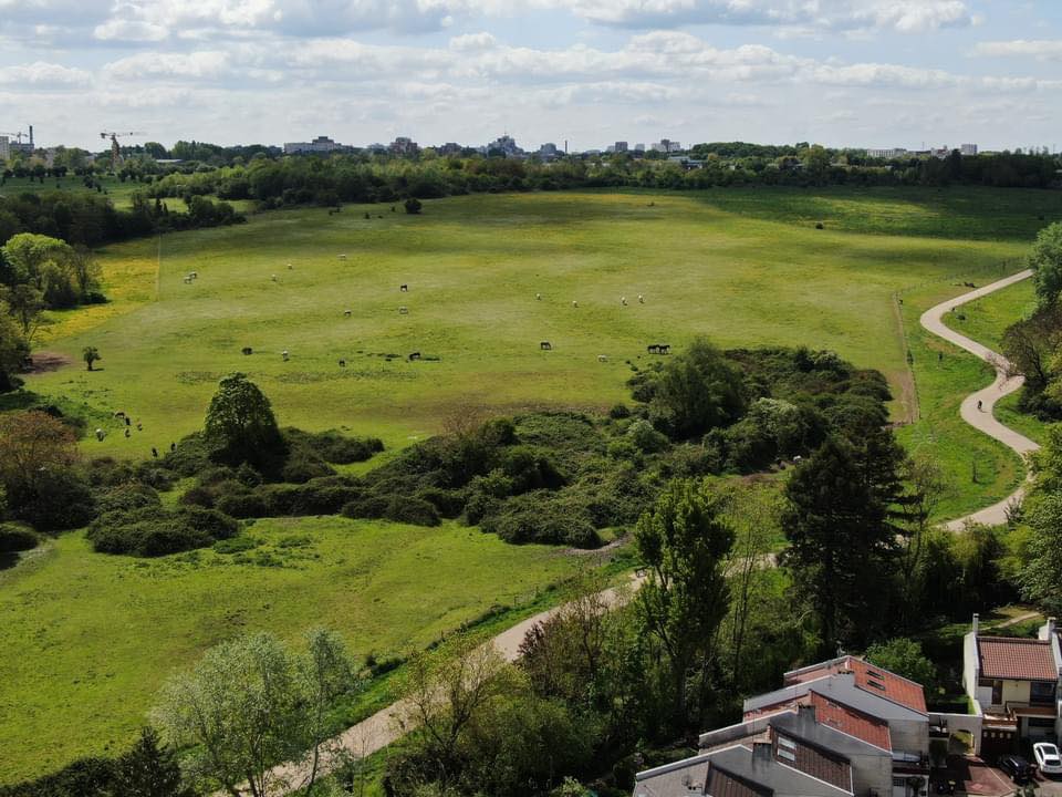 stefraffalli's tweet photo. 🌱 @VilleRisOrangis lauréate de l'@ademe pour la protection de nos espaces naturels dans le cadre de l’Appel à Manifestation d’Intérêt Zéro Artificialisation Nette #ZAN.

🌳 Ris-Orangis poursuit sa stratégie pour devenir une véritable #ecopolis. 

👉 https://t.co/k9BZX3BEdq https://t.co/5Rqk5M8Z5f