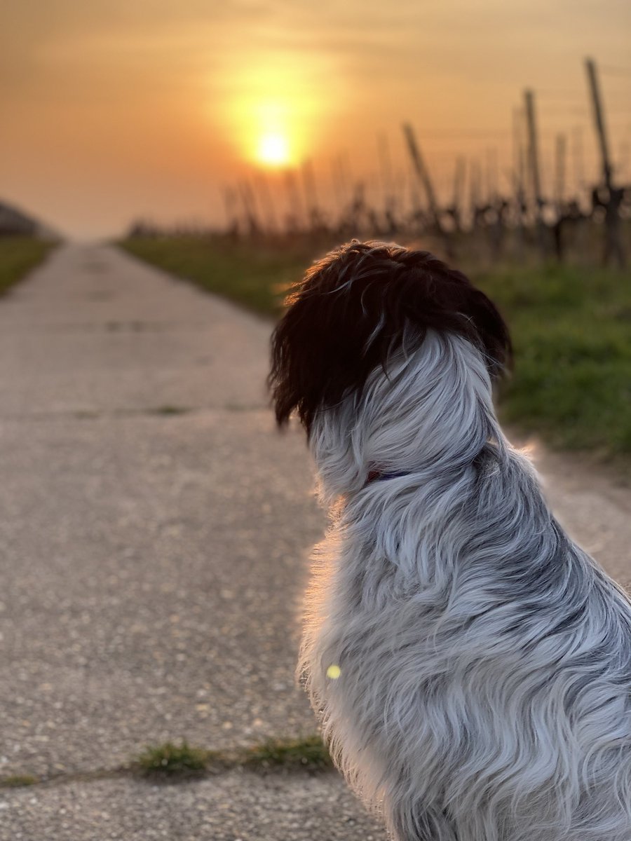 Beth Shores (@shores_beth) on Twitter photo 