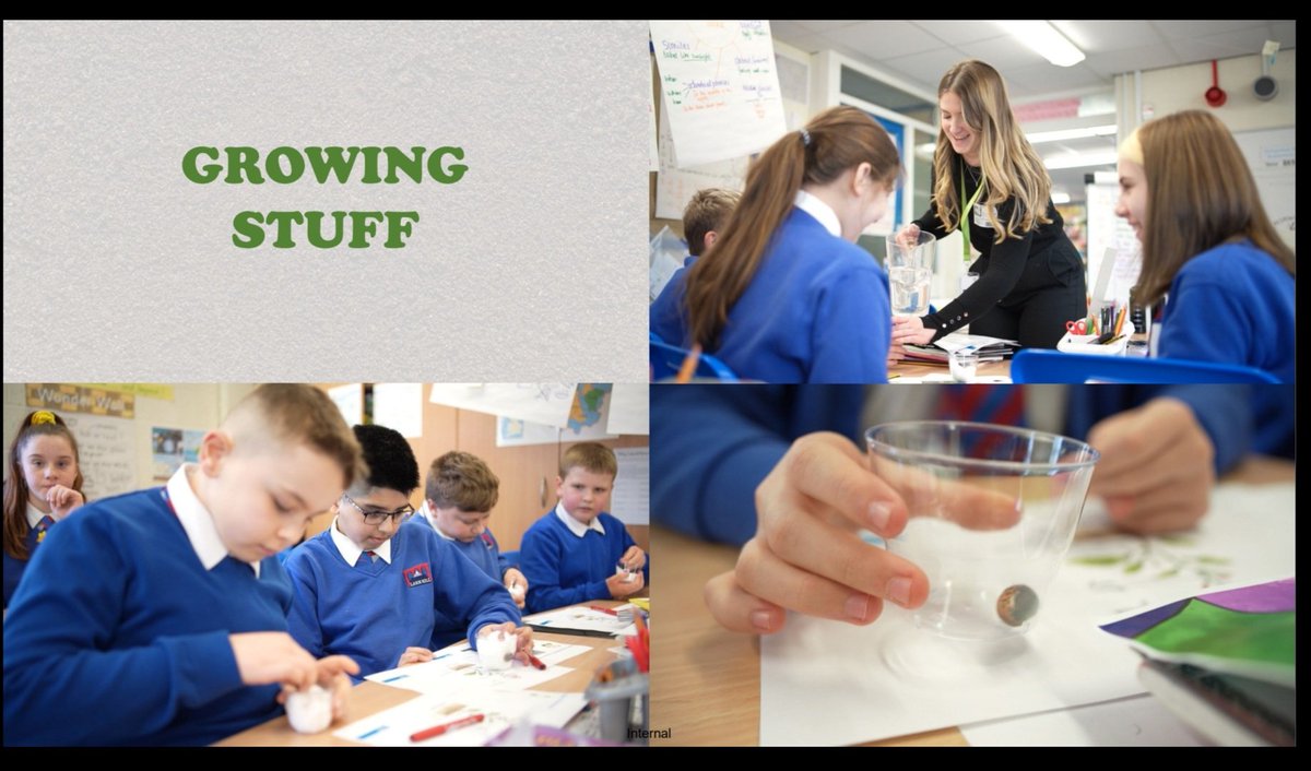 Lark Hill Primary, Stockport tweet media