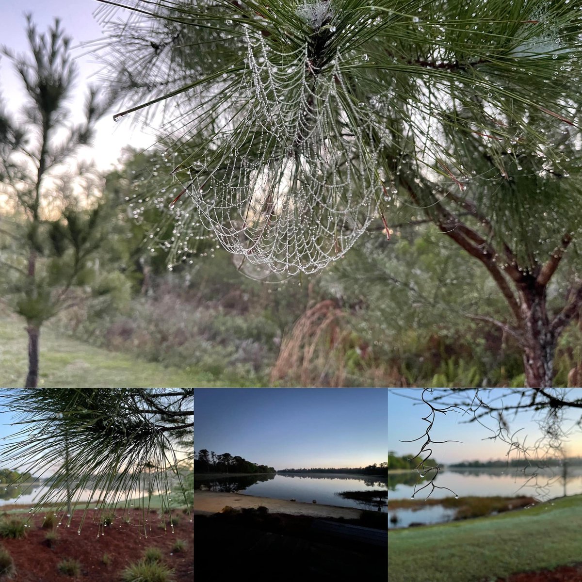 StarkeyRanch's tweet photo. Today is World Sleep Day! Rest is essential for healthy &amp; happy living. Get a good night’s sleep tonight… there’s so much to explore in your own backyard! #starkeyranch #starkeyranchlifestyle #WorldSleepDay

Photo Credit: Mr. Steve, Facilities Specialist for Starkey Ranch https://t.co/W0qFCNGu0I