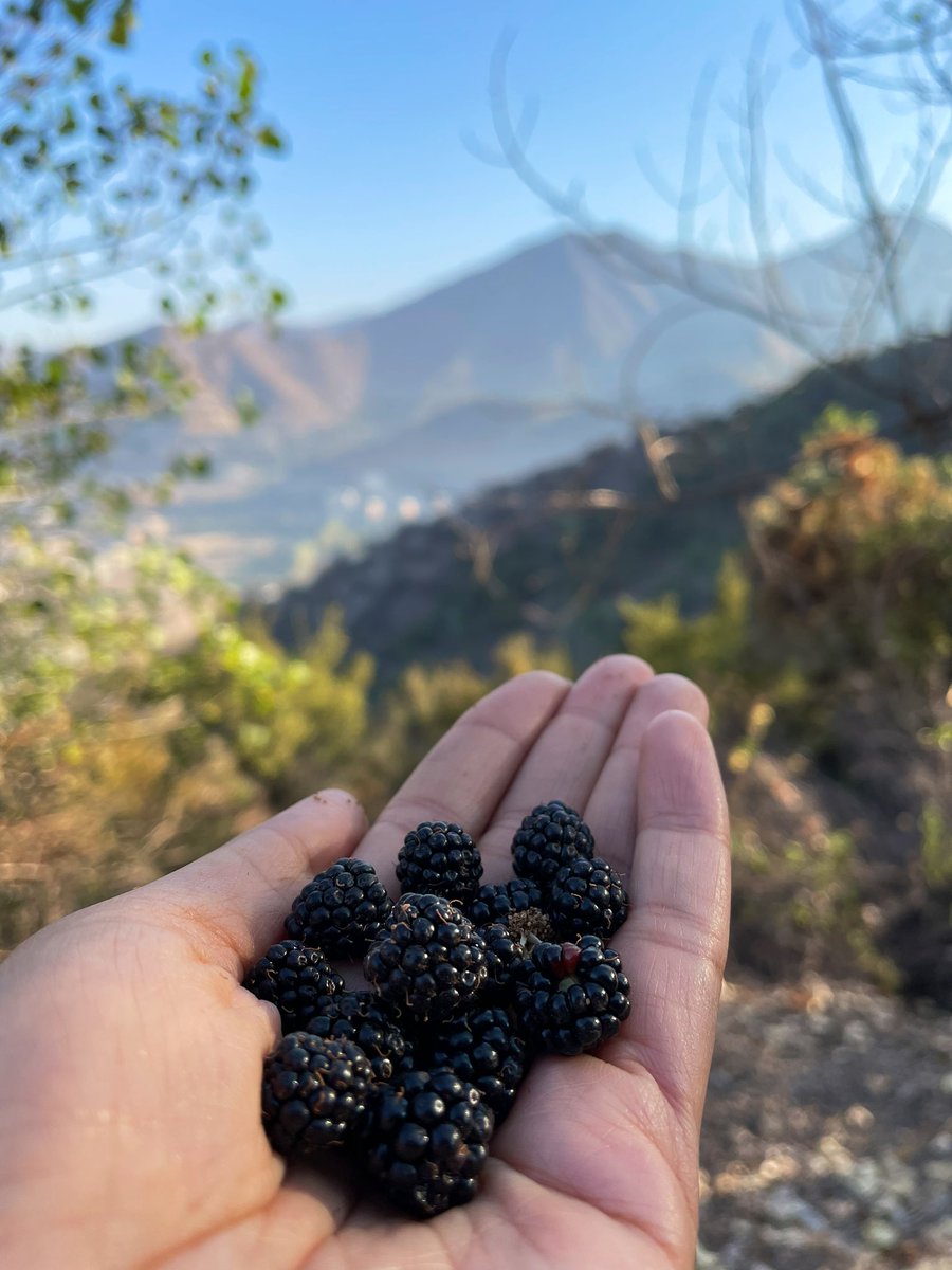 RobinBisko's tweet photo. Up and around Cerro San Cristobal 🏃🏽‍♀️🚴🏽‍♀️ https://t.co/ppSM3uqG6w