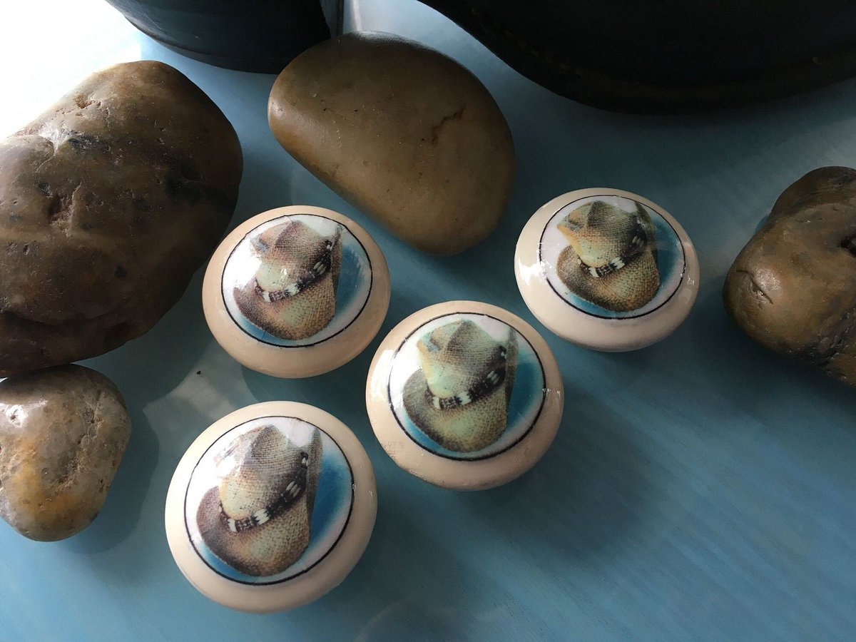 ruralgals's tweet image. 🐣. Offer Xtras! Knobs, Cowboy Hats Western Decor, Farmhouse Home Decor, Cabinet Handles, Custom Knobs Country Home Decor, Dresser Knobs, Aqua, Ivory, Pecan for $19.96 #CustomKnobs #HomeDecor