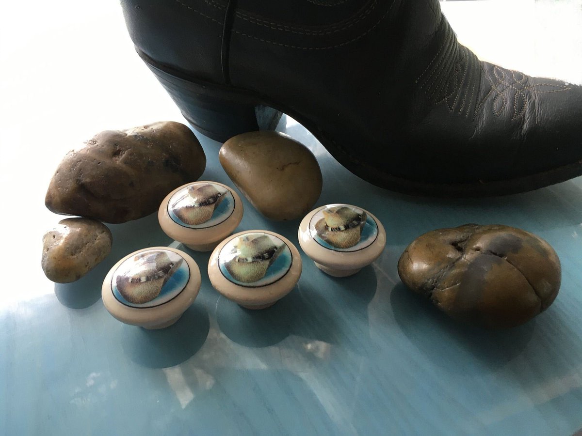 ruralgals's tweet image. 🐣. Offer Xtras! Knobs, Cowboy Hats Western Decor, Farmhouse Home Decor, Cabinet Handles, Custom Knobs Country Home Decor, Dresser Knobs, Aqua, Ivory, Pecan for $19.96 #CustomKnobs #HomeDecor