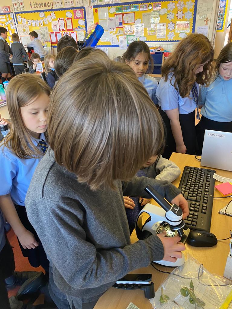 OLM_Primary's tweet image. N in P4a brought in his microscope from home to show his classmates how to use it. They examined plant samples he collected on the way to school this morning! #STEM #OLMSTEM