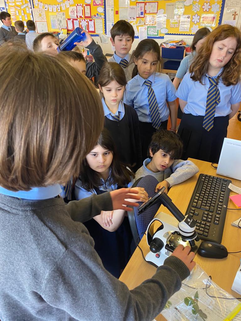 OLM_Primary's tweet image. N in P4a brought in his microscope from home to show his classmates how to use it. They examined plant samples he collected on the way to school this morning! #STEM #OLMSTEM