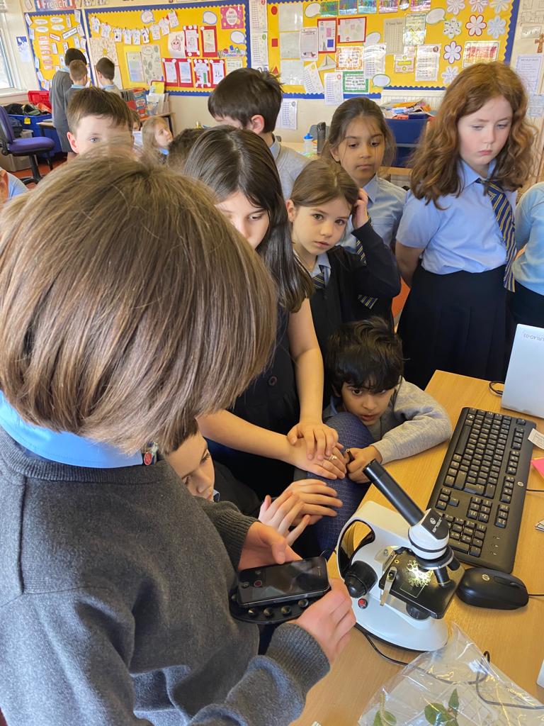 OLM_Primary's tweet image. N in P4a brought in his microscope from home to show his classmates how to use it. They examined plant samples he collected on the way to school this morning! #STEM #OLMSTEM