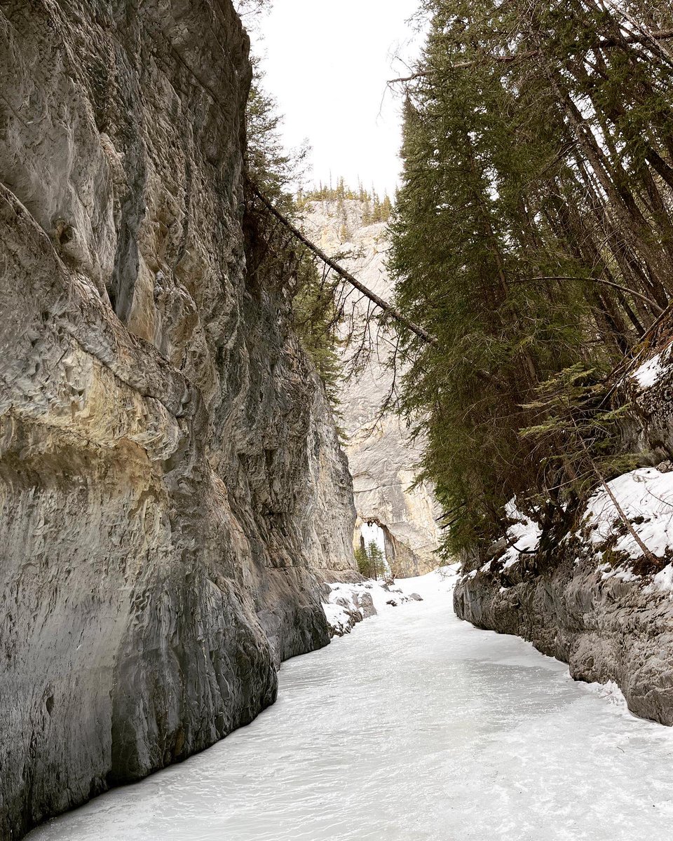 Corrig21's tweet photo. Long overdue for some adventure 🏔🤍 #GrottoCanyonTrail #icewalk https://t.co/IxtVcZfQ8I