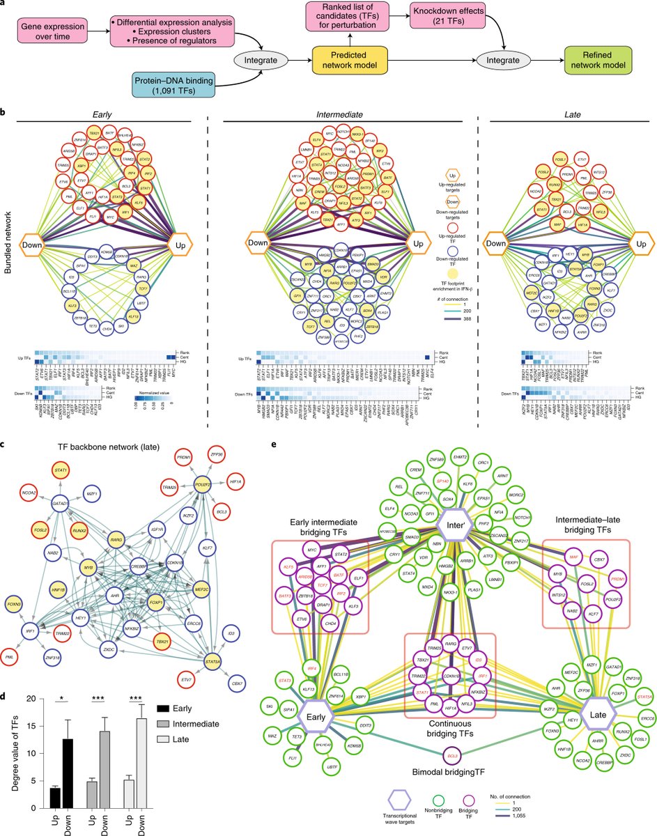 Kuchroo Lab (@kuchroolab) on Twitter photo Latest work in <a href="/NatImmunol/">Nature Immunology</a>. Using a systematic computational and biological approach we identify IFN-I as a major driver of coinhibitory receptor regulation in human T cells.
Fantastic collaboration with <a href="/madi_lab/">Asaf Madi</a>, Hafler Lab <a href="/YaleMed/">Yale School of Medicine</a> <a href="/SumidaTomokazu/">Tomokazu Sumida</a>!
rdcu.be/cJctS Latest work in <a href="/NatImmunol/">Nature Immunology</a>. Using a systematic computational and biological approach we identify IFN-I as a major driver of coinhibitory receptor regulation in human T cells.
Fantastic collaboration with <a href="/madi_lab/">Asaf Madi</a>, Hafler Lab <a href="/YaleMed/">Yale School of Medicine</a> <a href="/SumidaTomokazu/">Tomokazu Sumida</a>!
rdcu.be/cJctS