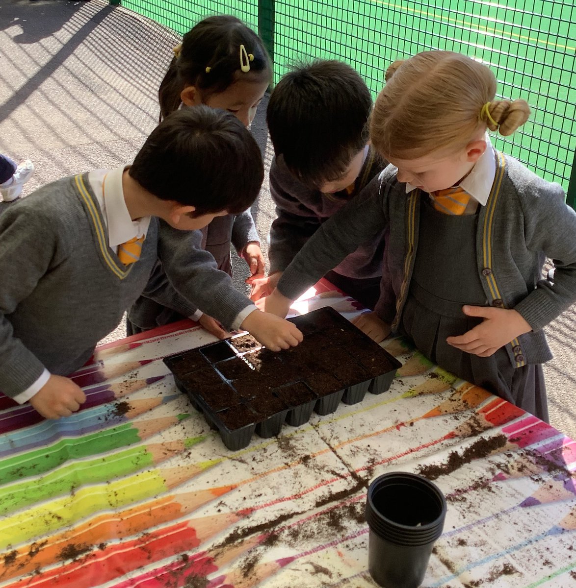 StainesPrepYr1's tweet photo. We are rounding off our #StainesPrepSTEAM week by sowing some seeds ready to be planted in our allotment after the Spring break. #StainesPrepOutdoorLearning 🌻 🍓 🌸 https://t.co/6m30YXwsoZ