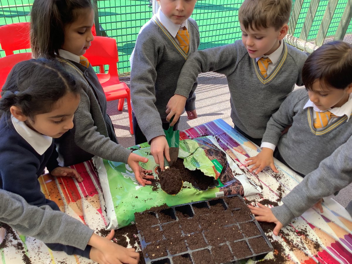 StainesPrepYr1's tweet photo. We are rounding off our #StainesPrepSTEAM week by sowing some seeds ready to be planted in our allotment after the Spring break. #StainesPrepOutdoorLearning 🌻 🍓 🌸 https://t.co/6m30YXwsoZ