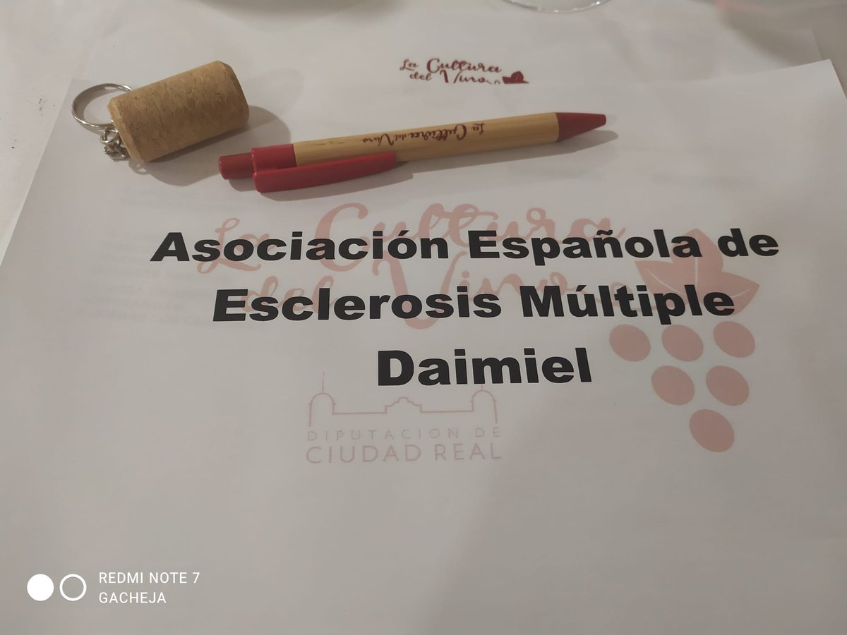 Aedem Ciudad Real EM tweet media