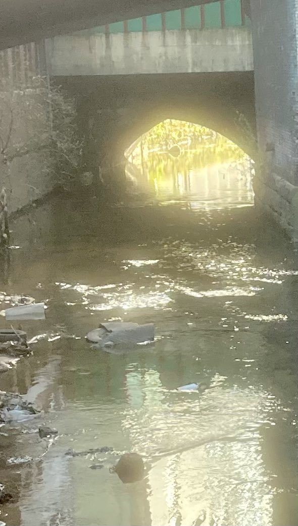 Terry Snowden MBE tweet media