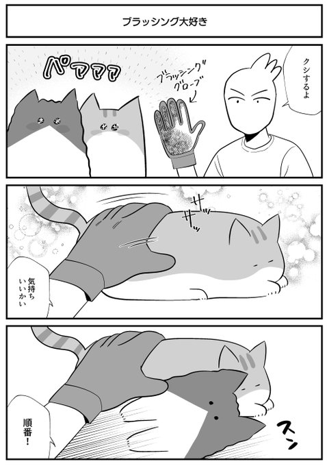 ブラッシング大好き 