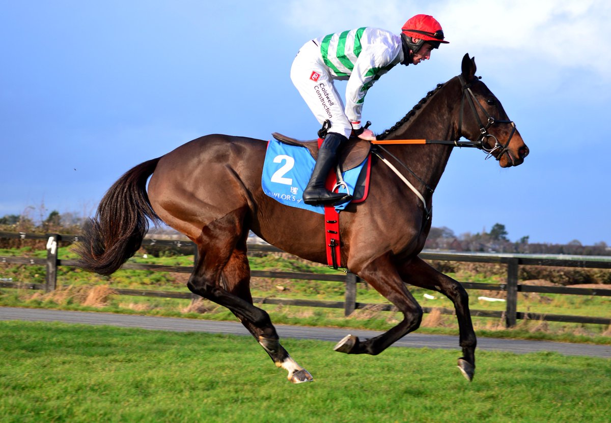AtTheRaces's tweet photo. Heart-breaking... rest in peace, Ginto 🌟 https://t.co/E7WX9gffbA
