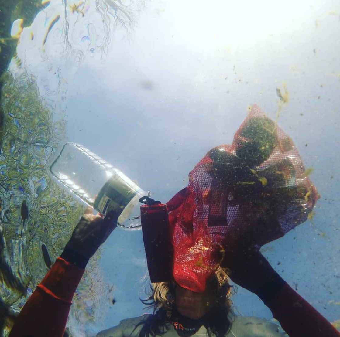 Our National #waterlogger citizen science campaign results are been published on Monday. Stay tuned to find out the worst offenders. Thanks to SAMS &amp; Bangor Uni for processing our samples in labs in Wales &amp; Scotland. #microplastics #weswimwild #waterpollution #waterquality #swim