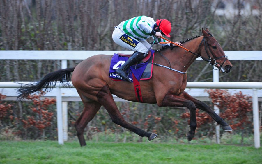 TWEnclosure's tweet photo. R.I.P GINTO, thoughts with connections. 😢 https://t.co/fhtWCUINMb