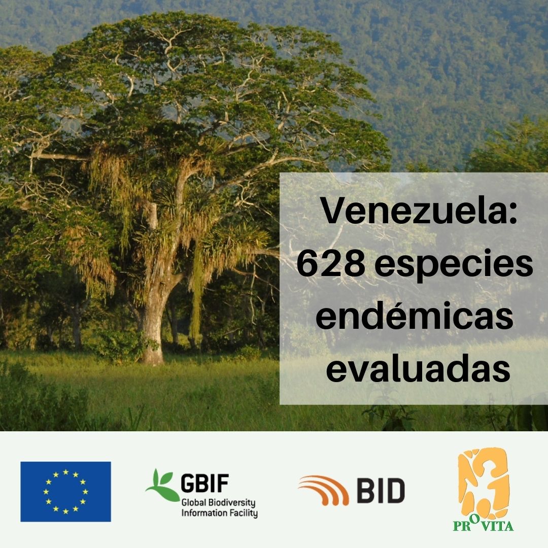 provita_ong's tweet photo. Gracias a un proyecto que llevamos adelante con el #GBIF contamos con una versión preliminar de la lista roja de árboles endémicos de Venezuela que incluye 628 especies, una cifra que seguro crecerá. Visítala acá https://t.co/rSKsHay8Ac
📷@Explora_ABD
 #EspeciesAmenazadas https://t.co/zqZoLsUMlZ