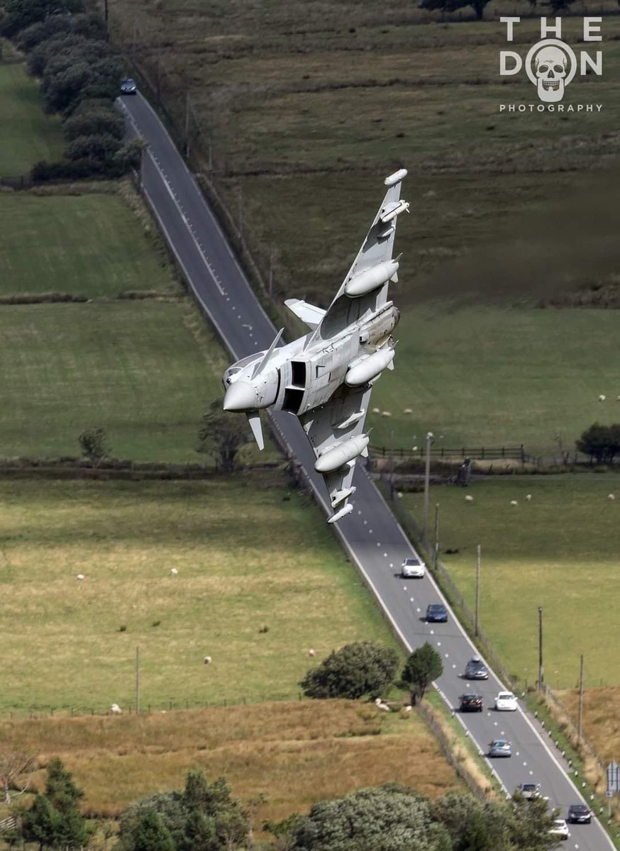 The Don Photography tweet media