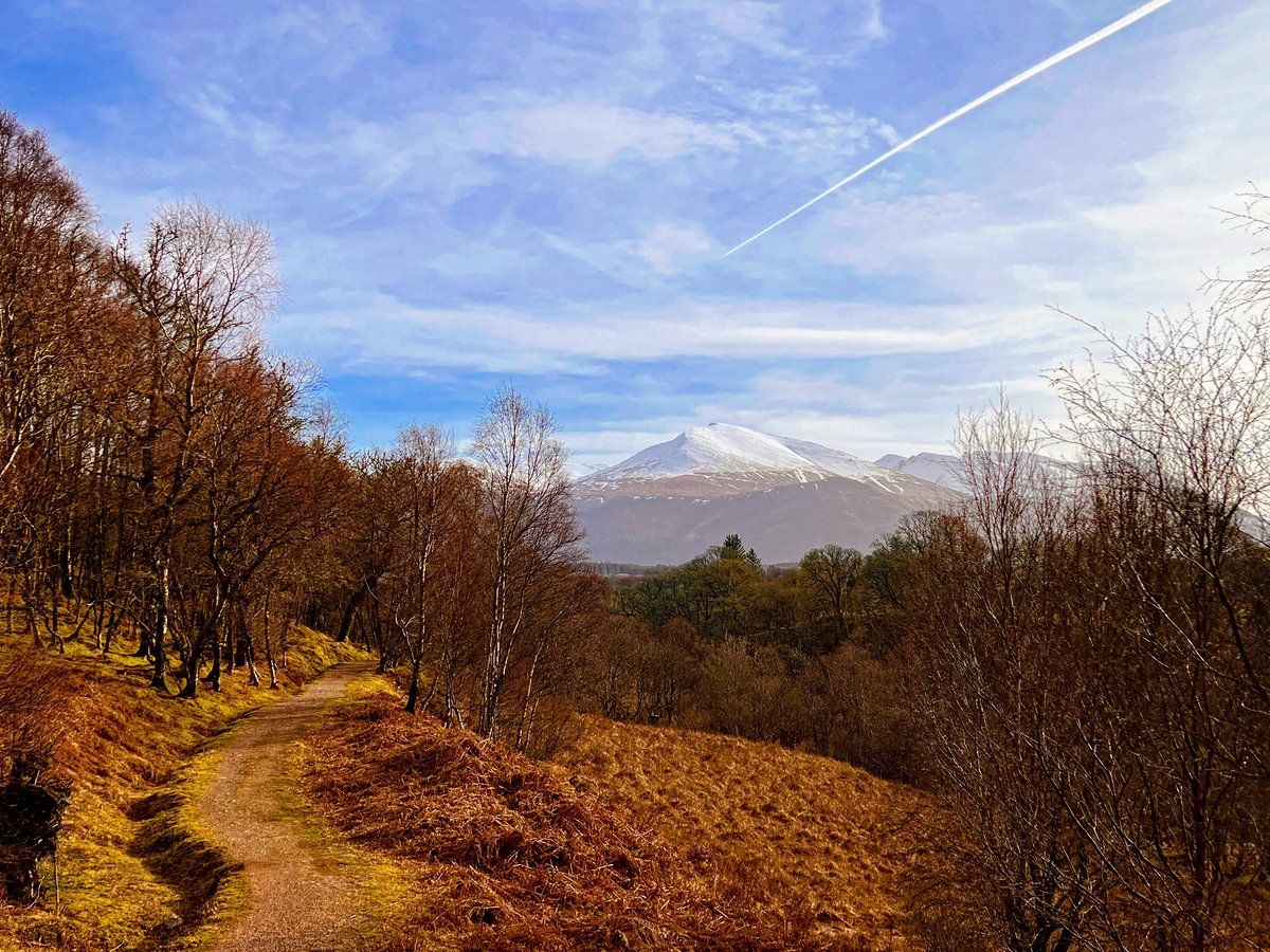 High Bridge Path tweet media