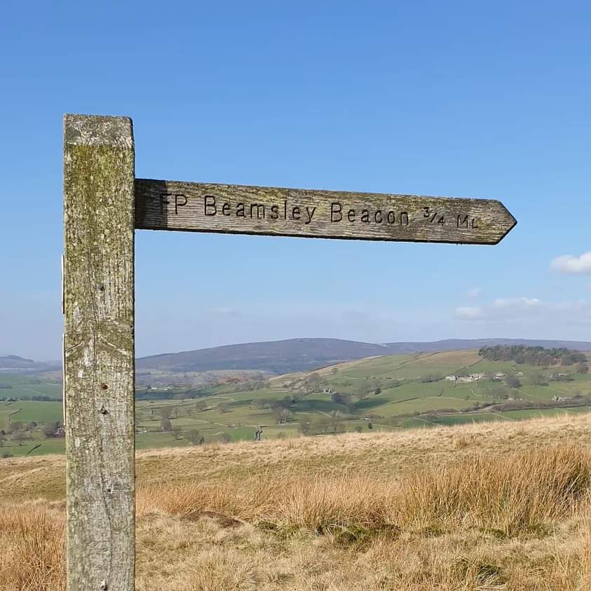 DannyDanceF133's tweet photo. @JonMitchellITV Beautiful day at Beamsley Beacon with Meg the Border Collie https://t.co/hGxijnZQSg