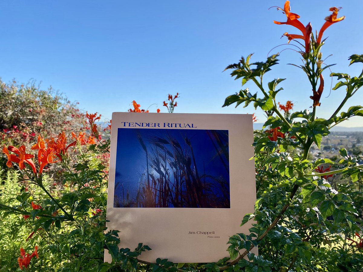 Dana McKissick tweet media