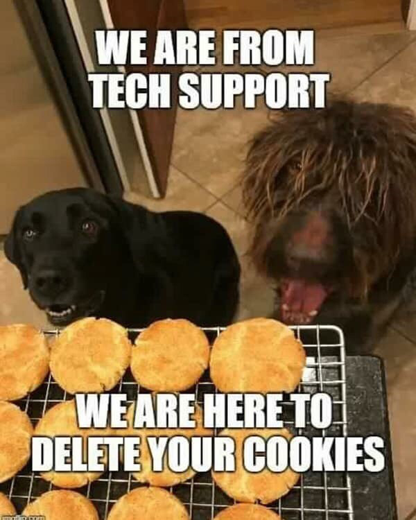 CyberHAWKS_net's tweet photo. Tech support is man's best friend. Do you agree?

#techmemes #memes #tech #technology #techmeme #meme #windows #programmingmemes #programming #technews #programmer #techies #memesdaily #windowsmemes #technologynews #computermemes https://t.co/IV1VGNPg7x