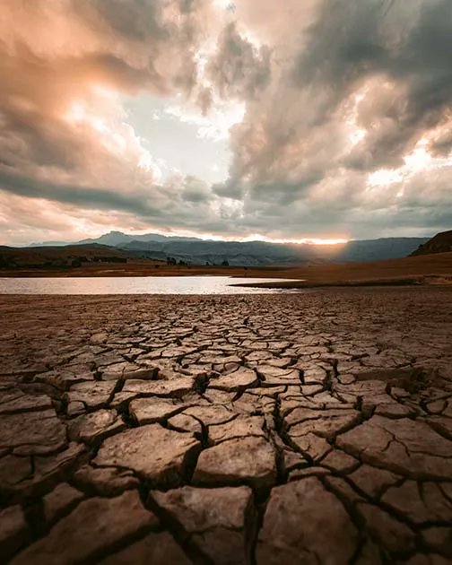 MRFImpacts's tweet photo. As part of a multistate project coordinating #cilmate monitoring, @UArizonaCALS produced climate data & tools that helped @azgfd, a state task force, livestock producers, and Navajo, Hopi & Apache tribes plan for and mitigate #drought.
https://t.co/5ZnQNdP8Dj
@jeremylweiss https://t.co/Kudymti0lW