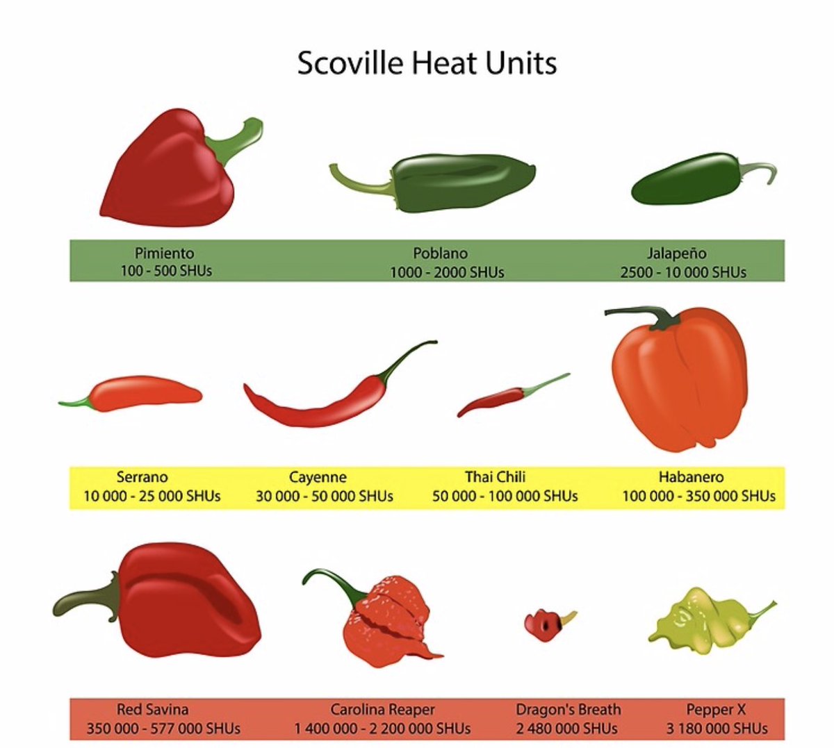 What kind of peppers do you like in your favorite hot sauce? Not to brag, but our Habanero peppers land at 350,000 on the Scoville scale 😏
Check out our website for more of our mild-hot peppers!
Indiatree.com