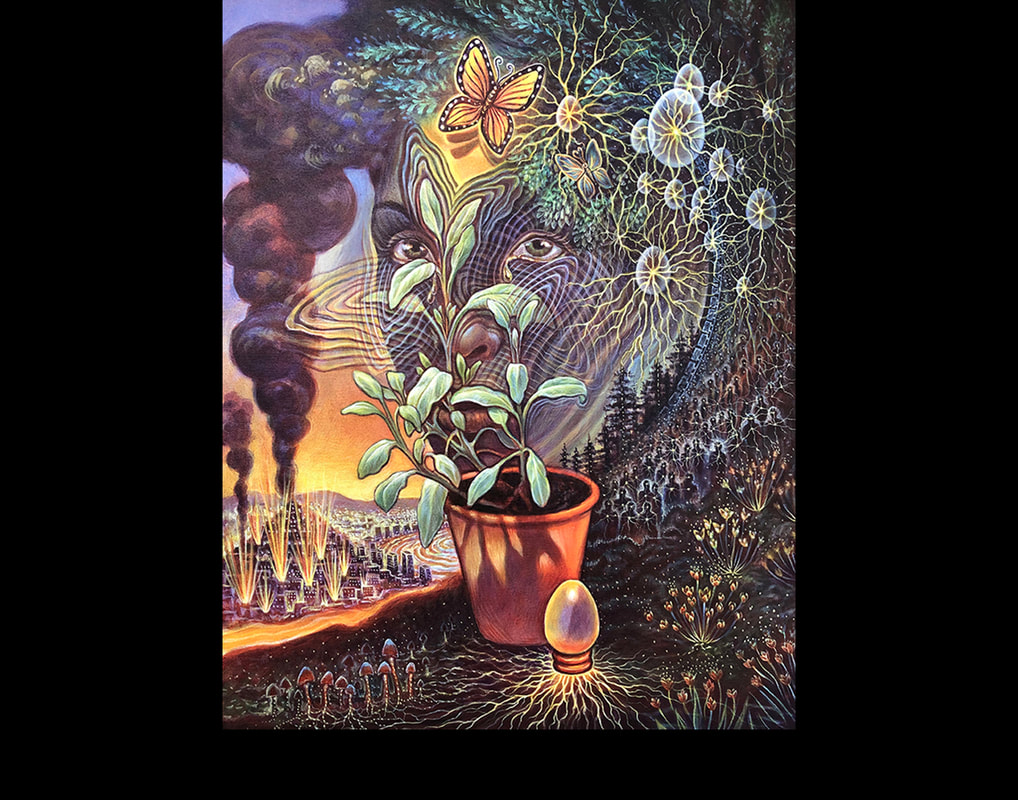 speakerjohnash's tweet photo. Tonight from 5 - 7 PST, @amandasageart @joebobmerritt and @gnomicperfect will be talking on #visiontrain about memetics

We will explore these strange seeds of the mind and how they take root and grown through the waters of our attention https://t.co/IB8UMM7CFN