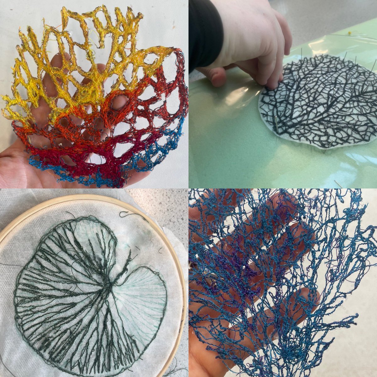 Josephine Sams tweet media