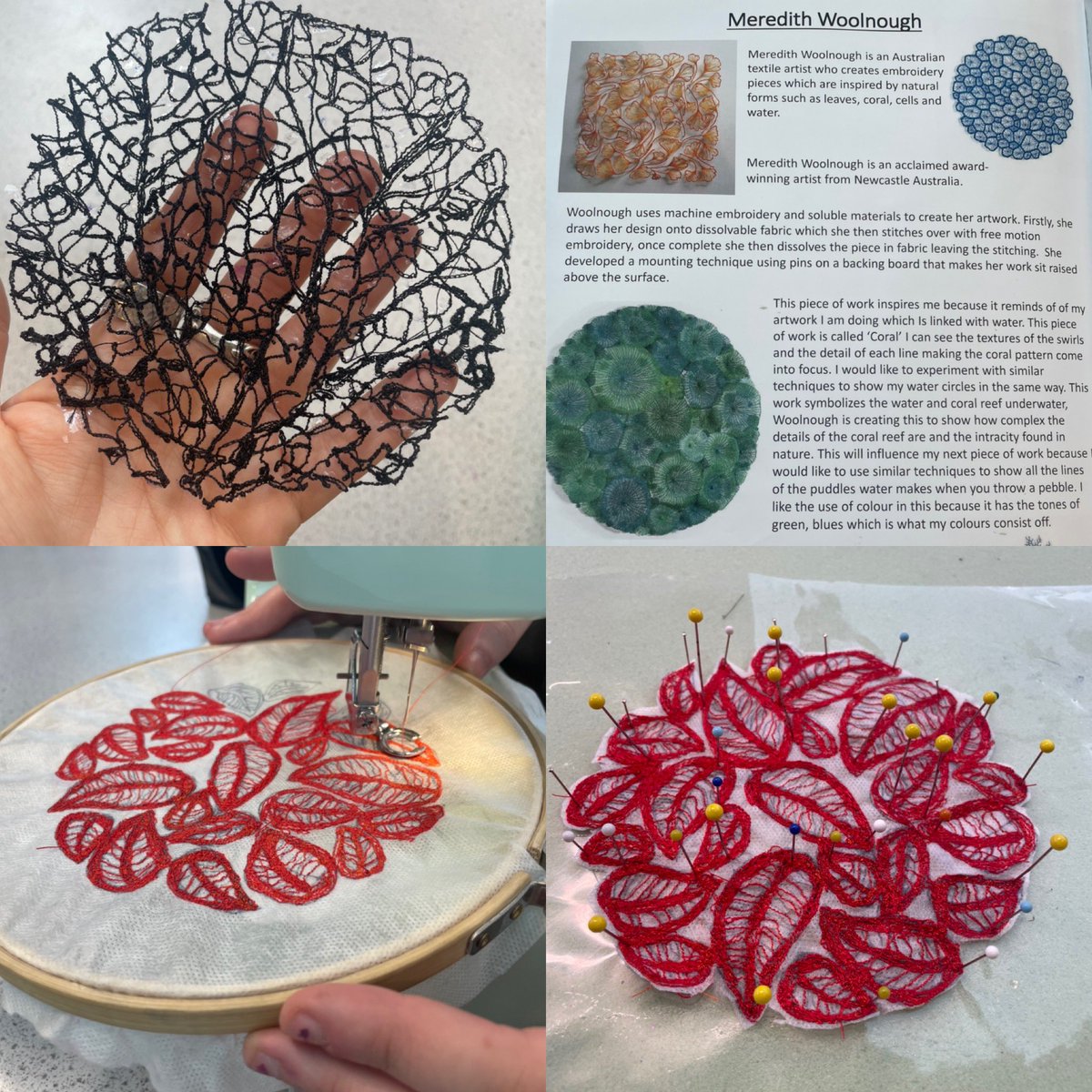 Josephine Sams tweet media