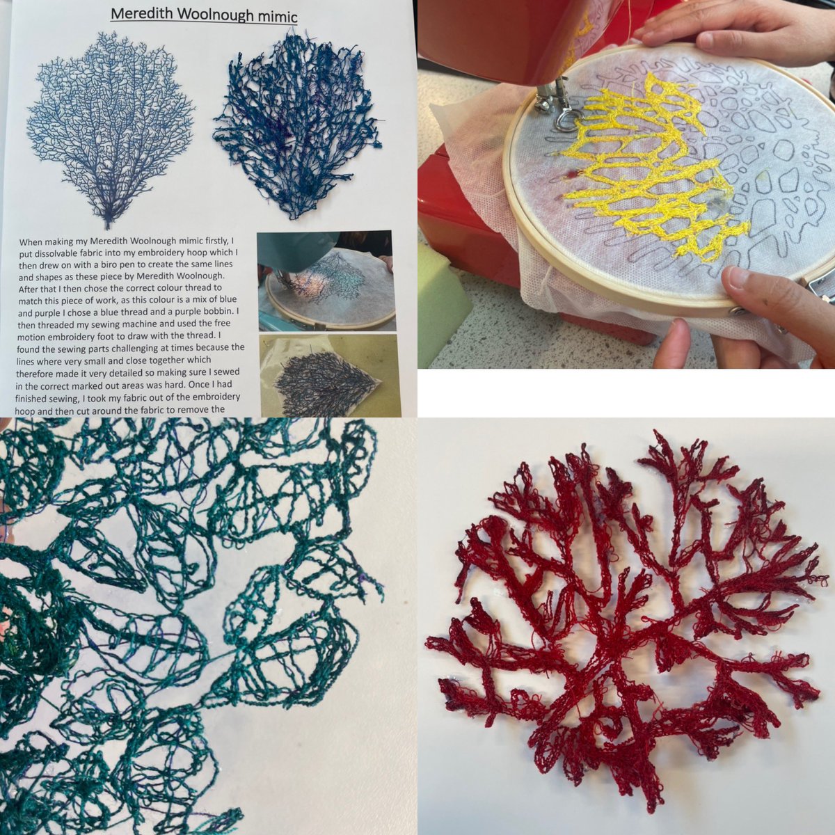 Josephine Sams tweet media