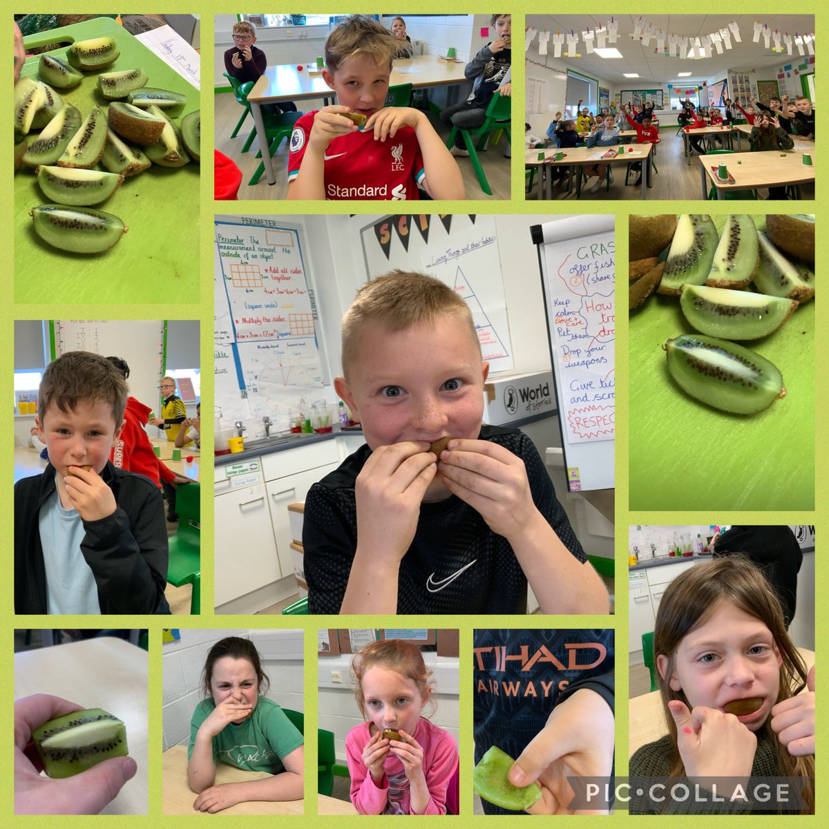 Year 4 Layton Primary School tweet media