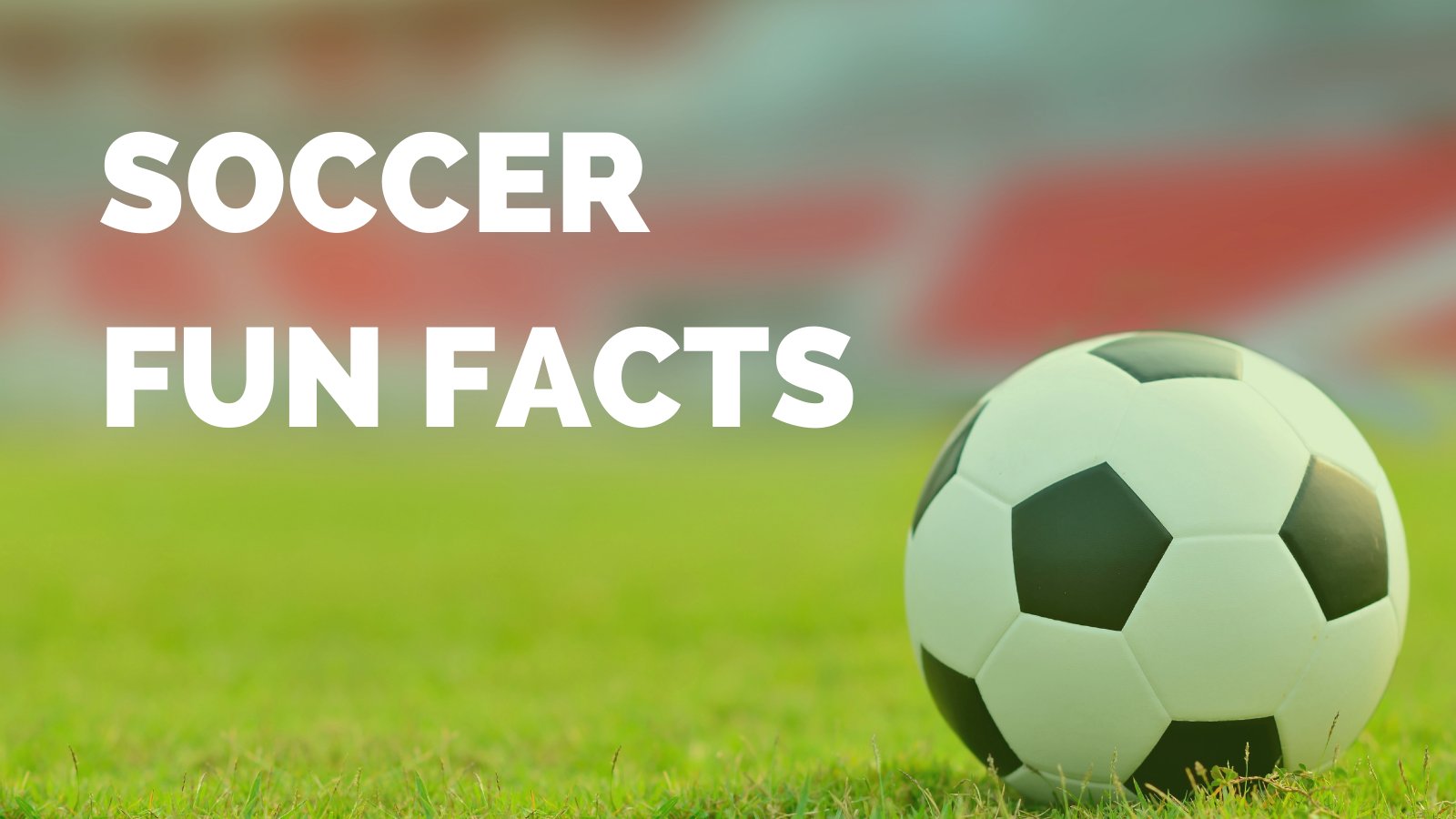 Fun facts on sale about soccer