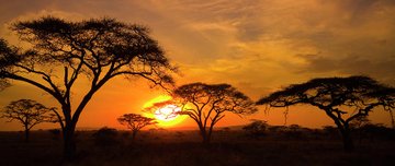 east_facts's tweet photo. IMAGES: Sunset in Serengeti National Park, Tanzania https://t.co/3gHws3a8nH