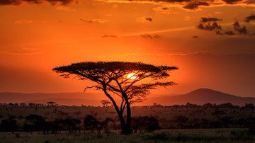 east_facts's tweet photo. IMAGES: Sunset in Serengeti National Park, Tanzania https://t.co/3gHws3a8nH