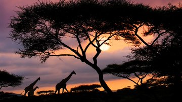 IMAGES: Sunset in Serengeti National Park, Tanzania