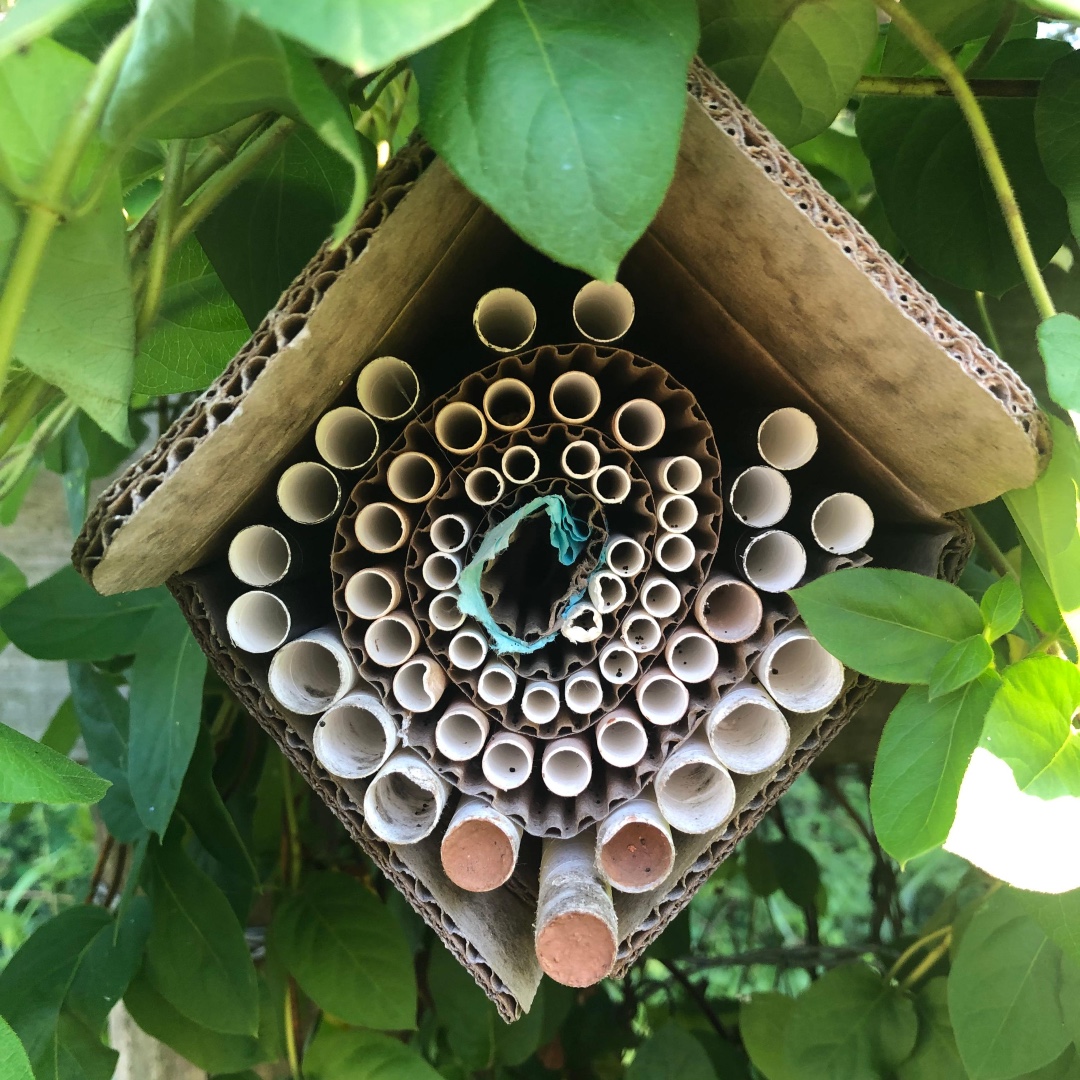 BeeFoster 🐝🌻 tweet media