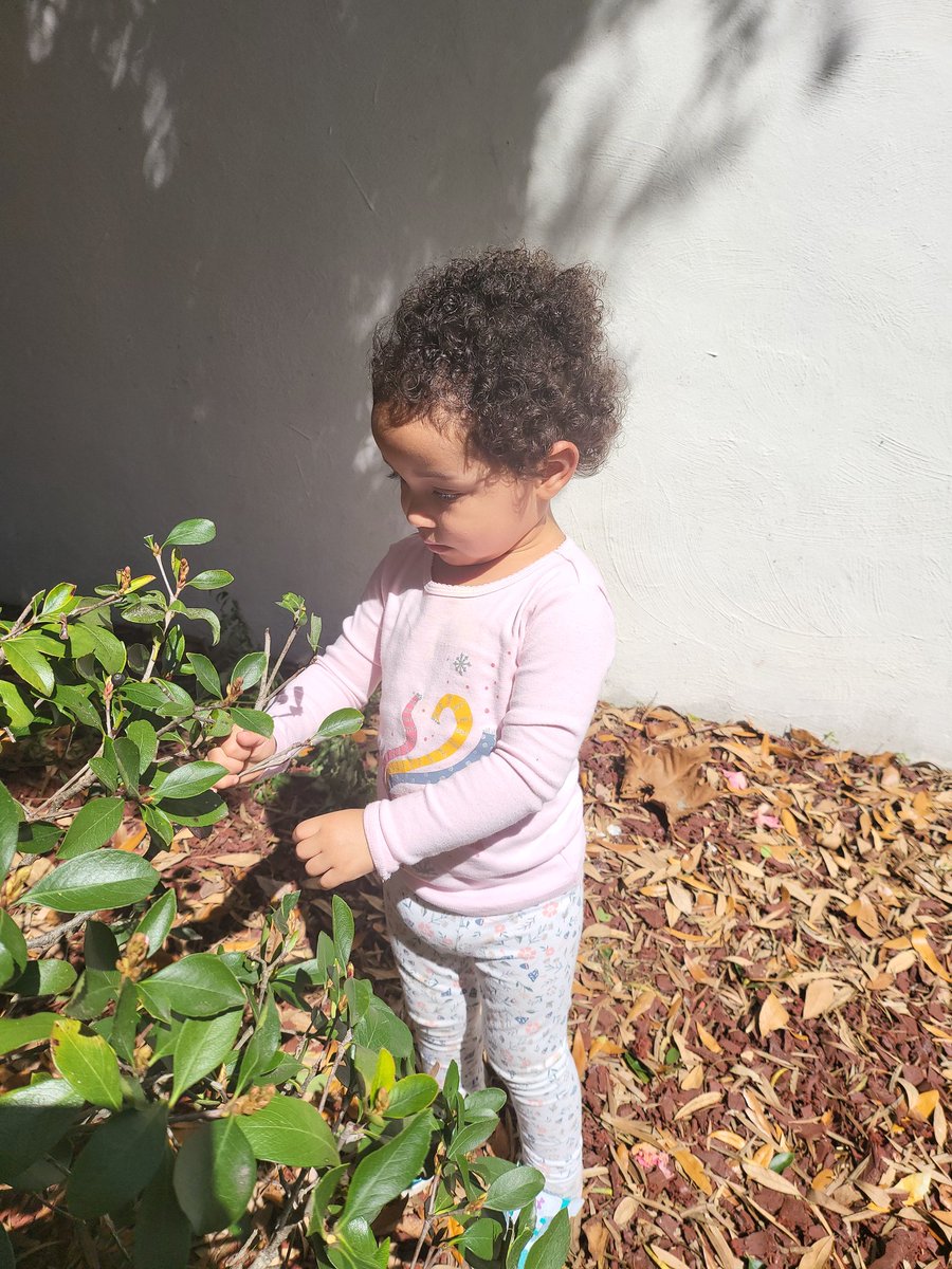 earlyassets's tweet image. A toddler learns through exploration!#earlyassets