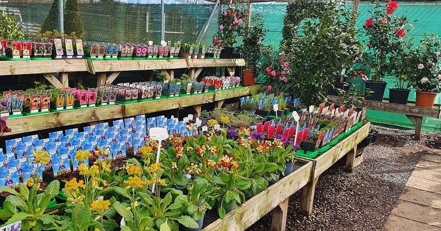 Grasslands Nursery tweet media