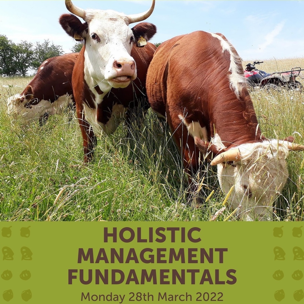 RealFarmED's tweet photo. 🐄 FarmED is working with 3LM, The Savory Network Hub in the UK and Ireland, to deliver 12 days of comprehensive holistic management training in 2022.

#holisticfarming #holisticmanagement #regenerativefarming #landmanager #farmingforthefuture #farmconsultant https://t.co/pTtTZvAATg