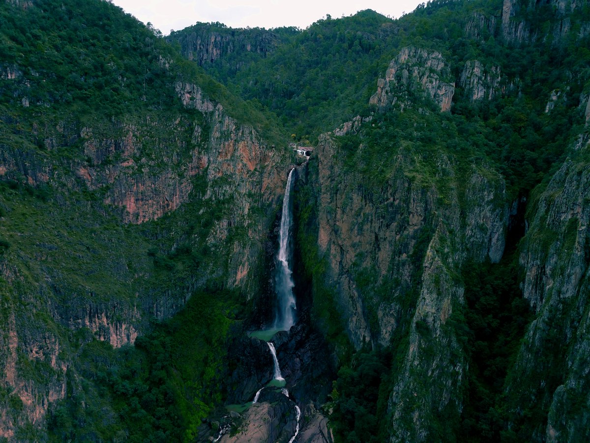 CONAFOR's tweet photo. En las áreas forestales de #México existen sitios con alto potencial turístico😍🌄🏔️, aunque poco conocidos. Con la política de #ServiciosAmbientales se promueve el desarrollo de proyectos ecoturísticos 🏕️🌙🚵🏻, que generan empleos e ingresos y contribuyen a conservar ecosistemas https://t.co/0QLh10Znjc