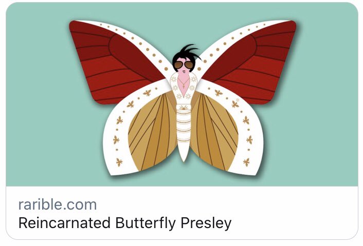 Reinc_Butterfly's tweet photo. @NFTshillaa These butterflies that I passionately produced are the product of the organic algorithm of my mind. 

This is just the beginning! The colorful wings of the Immortals will flap!

Available @rarible. Check out my account https://t.co/2w8ykNyW48 https://t.co/mHtrUF6jGY