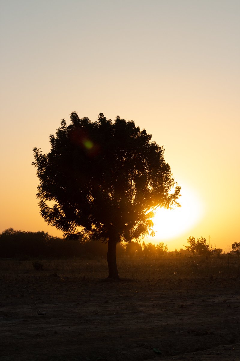 motion19store's tweet photo. #rawvsedited

@chi_ernest  a fait le son.

1: edit
2: raw 

What's your favourite?

#photography #raw #edit 
#landscape #landscapephotography 
 #feelfreetocreate #motion19 https://t.co/fajxepSpFi