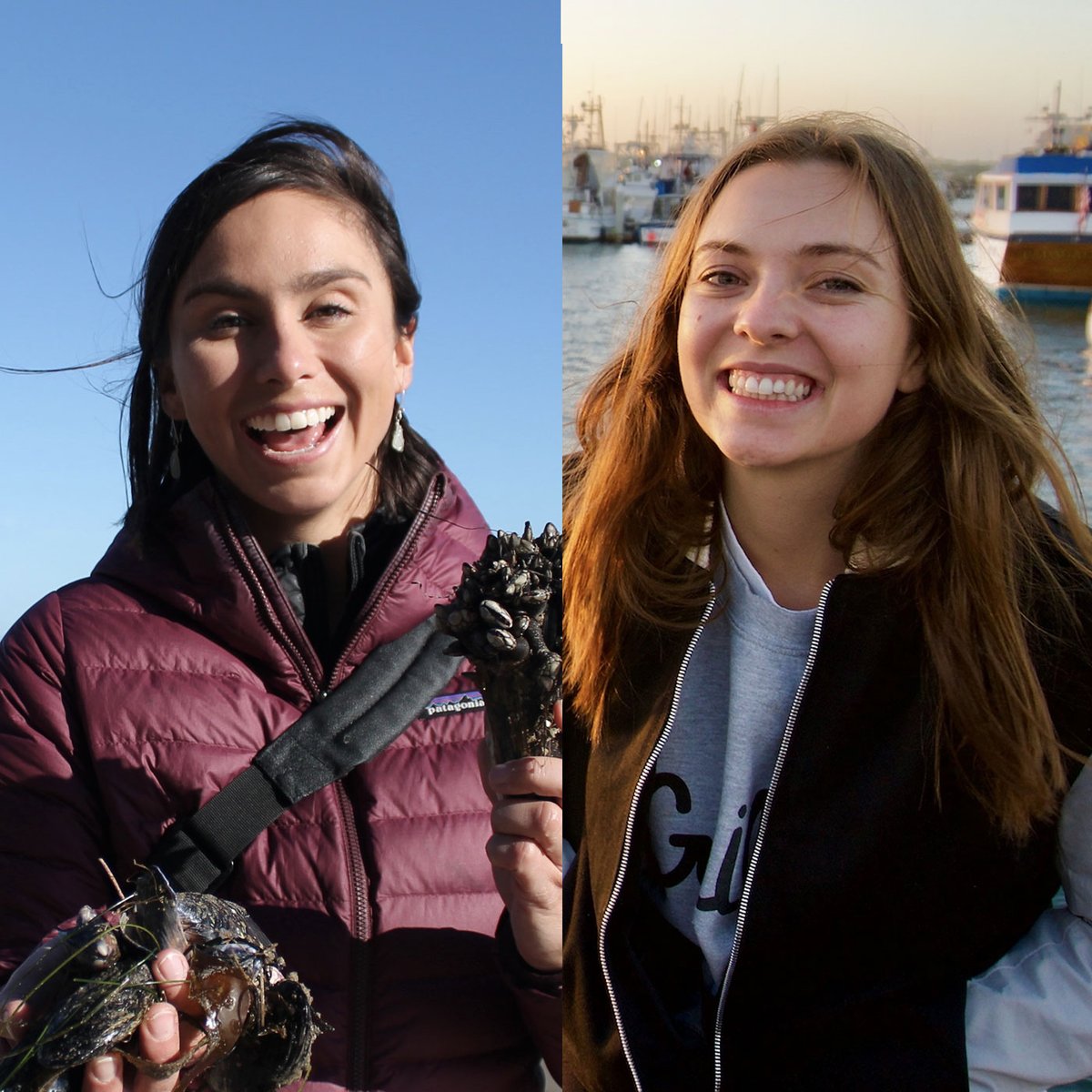 GGSEucsb's tweet photo. This week's @SchooledR on @KCSB was all wet--learn lots about aquaculture as we talk with UCSB graduate students @phoeberacine and @MaeRennick. https://t.co/UIgqs1RDLQ https://t.co/D1Z8czWSOW