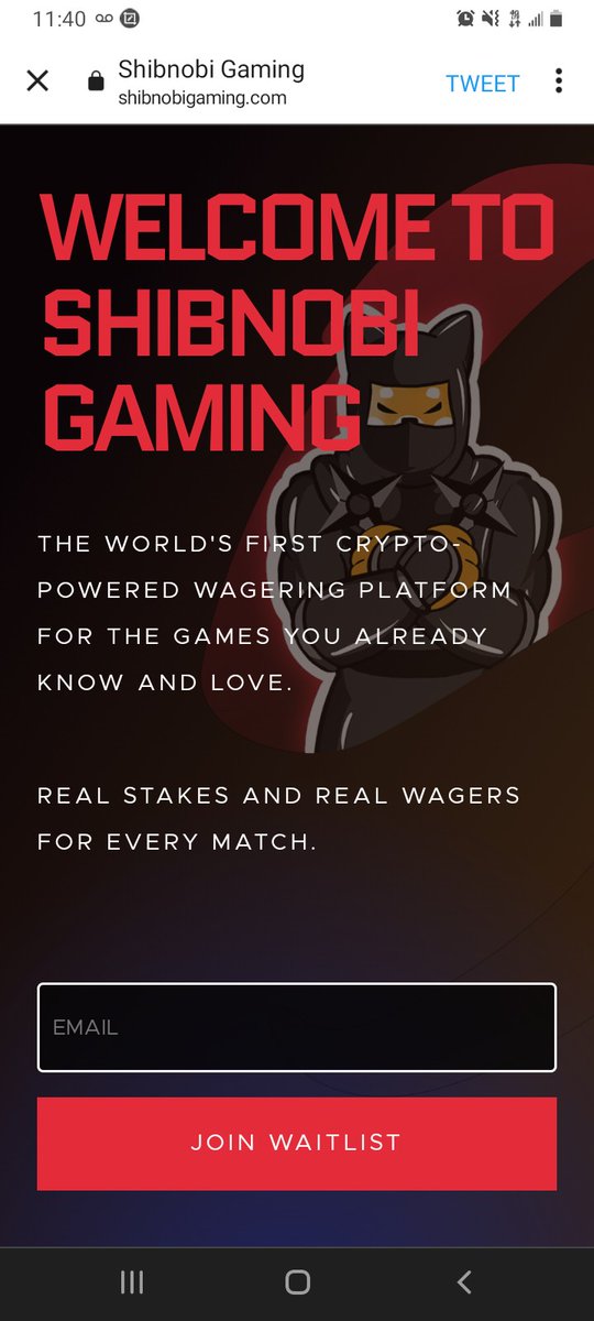airdropmikenfts's tweet photo. I already told all my friends and load up on some Shinobi because we're going all out in fortnite #Shinobigaming  #SHINJA https://t.co/yZpGWqGbFX