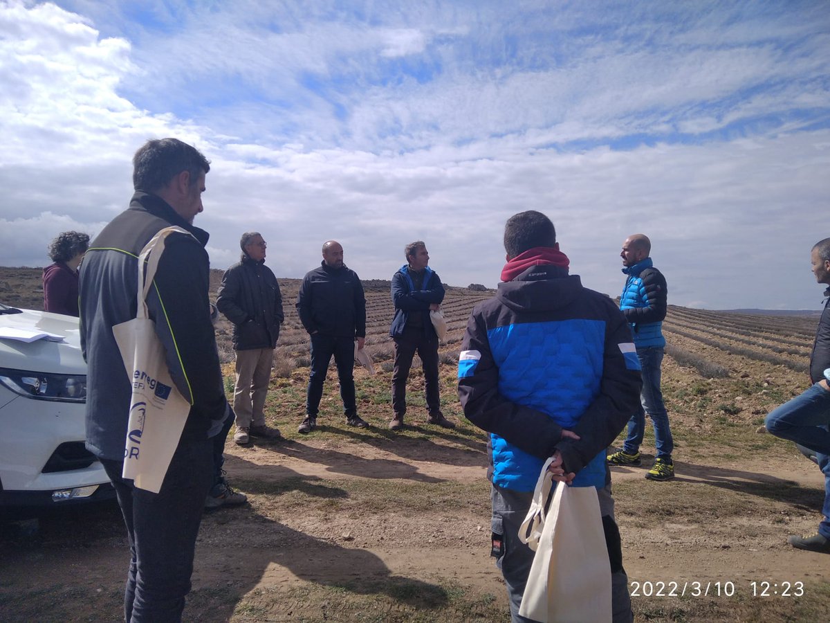 CITAAragon's tweet photo. 👨‍🌾👩‍🌾Encuentro técnico entre agricultores en la Destilería Aromáticas del Piedra dentro de las actividades del proyecto #FoRuO @CTPPOCTEFA que lidera en el CITA @JulyNavarroRo, investigadora del Departamento de Ciencia Vegetal.
#formación #aromáticas #lavandín #investigación https://t.co/1iW9N8yY2G